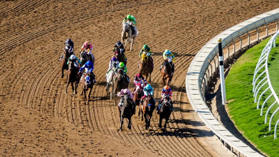 Breeders’ Cup Classic, Del Mar, Fierceness, Sierra Leone, Journalism, Baeza, Mindframe, Forever Young, Nevada Beach, Antiquarian, America's Best Racing, horse racing, ABR  Breeders’ Cup Classic, Del Mar, Fierceness, Sierra Leone, Journalism, Baeza, Mindframe, Forever Young, Nevada Beach, Antiquarian, America's Best Racing, horse racing, ABR
